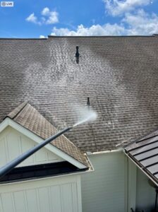 Chemical being sprayed on Commercial roof photo
